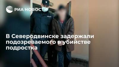 СК: подозреваемого в убийстве семнадцатилетнего подростка в Северодвинске задержали - ria.ru - Москва - Россия - Северодвинск