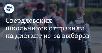 Евгений Куйвашев - Свердловских школьников отправили на дистант из-за выборов. Заявление губернатора - ura.news - Екатеринбург - Свердловская обл.
