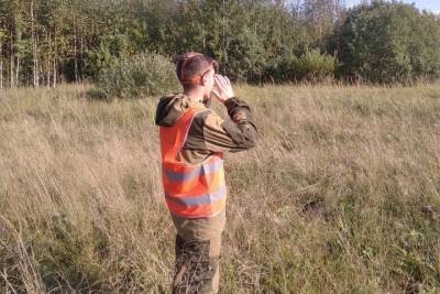 Новгородские спасатели прочесывают лес в поисках пропавшего - mk.ru - Великий Новгород