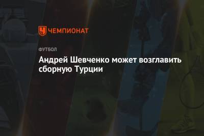 Станислав Черчесов - Андрей Шевченко - Андрей Шевченко может возглавить сборную Турции - championat.com - Россия - Украина - Англия - Турция - Швеция