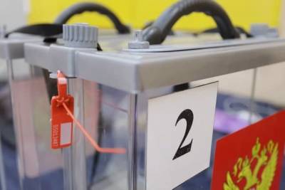 Миссия наблюдателей СНГ не выявила серьезных нарушений на выборах в Госдуму - aif.ru - Россия