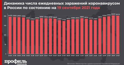 За сутки в России выявили 20174 новых случая COVID-19 - profile.ru - Москва - Россия - Санкт-Петербург - Московская обл. - респ. Алтай - респ.Бурятия - окр. Янао - респ. Карачаево-Черкесия