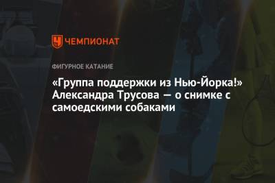 Александра Трусова - «Группа поддержки из Нью-Йорка!» Александра Трусова – о снимке с самоедскими собаками - championat.com - Россия - США - Нью-Йорк - Нью-Йорк - Корея