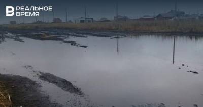 Жители поселка Подсолнухи не могут добиться дороги даже после возбуждения уголовного дела - realnoevremya.ru - Россия - респ. Татарстан