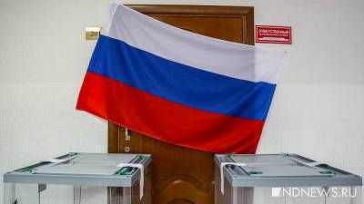 В Общественной палате Курганской области оценили первый день голосования и спрогнозировали явку - newdaynews.ru - Россия - Курганская обл.