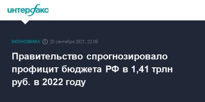 Правительство спрогнозировало профицит бюджета РФ в 1,41 трлн руб. в 2022 году - interfax.ru - Москва - Россия
