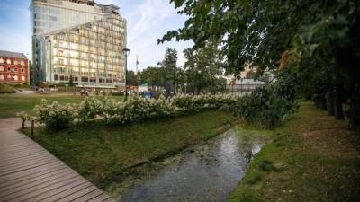 Воду в "Аптекарском огороде" будут фильтровать растения - parkseason.ru - Франция - Новости