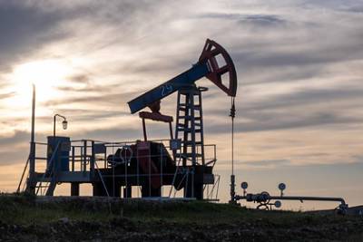 Алексей Миллер - Назван срок исчерпания запасов нефти и газа в России - lenta.ru - Россия