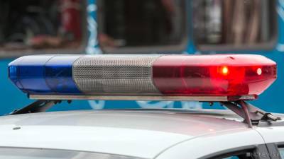 Дагестанец покусал полицейского в центре Москвы - newdaynews.ru - Москва - Россия - Крым - респ. Дагестан