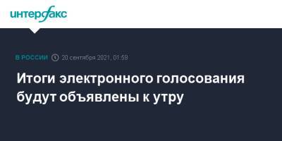 Илья Массух - Итоги электронного голосования будут объявлены к утру - interfax.ru - Москва - Россия