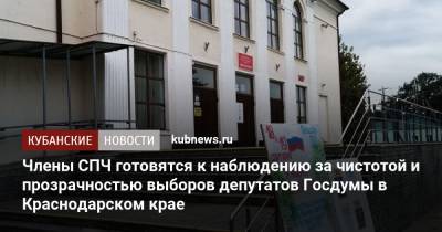 Члены СПЧ готовятся к наблюдению за чистотой и прозрачностью выборов депутатов Госдумы в Краснодарском крае - kubnews.ru - Краснодарский край