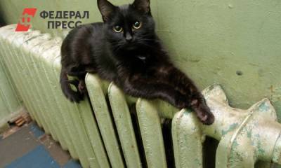 Дом с электроотоплением: чего ждать тысячам красноярцев с нового года - fedpress.ru - Новосибирск - Красноярск