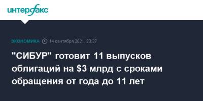 "СИБУР" готовит 11 выпусков облигаций на $3 млрд с сроками обращения от года до 11 лет - interfax.ru - Москва - Сибур