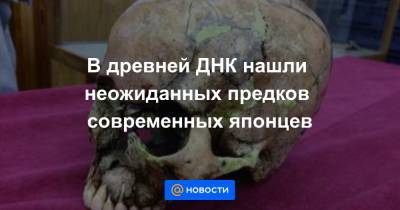 В древней ДНК нашли неожиданных предков современных японцев - news.mail.ru - Япония - Ирландия