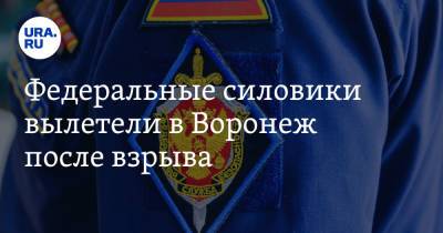 Федеральные силовики вылетели в Воронеж после взрыва - ura.news - Россия - Воронеж