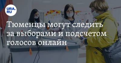 Тюменцы могут следить за выборами и подсчетом голосов онлайн - ura.news - Тюмень - Тюменская обл.