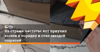 На страже чистоты: кот приучил хозяев к порядку и стал звездой соцсетей - ridus.ru