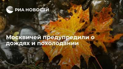 Михаил Леус - В Москве на следующей неделе может выпасть более половины месячной нормы осадков - ria.ru - Москва
