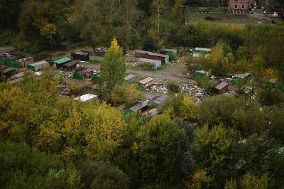 В Новосибирске появится уникальный в России ландшафтный парк - runews24.ru - Россия - Новосибирск - район Дзержинский, Новосибирск