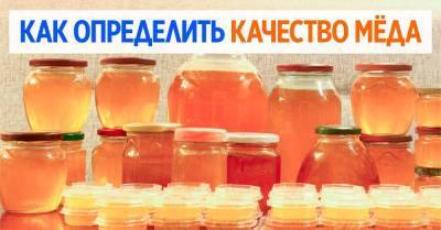 На рынке больше не обманут, знаю, сколько весит мёд в трехлитровой банке - skuke.net
