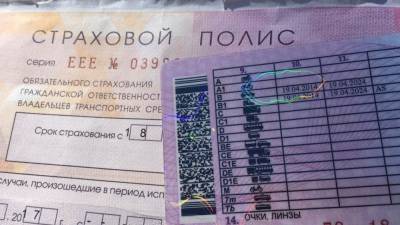 Ростовская и Новосибирская области стали лидерами по мошенничеству с ОСАГО - inforeactor.ru - Ростовская обл. - Мурманская обл. - Новосибирская обл.