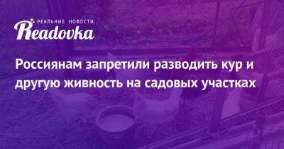 Россиянам запретили разводить кур и другую живность на садовых участках - readovka.ru - Россия - Волгоград