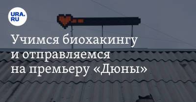 Учимся биохакингу и отправляемся на премьеру «Дюны» - ura.news
