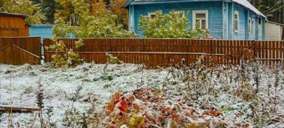 В Карелию 15 сентября нагрянут ночные заморозки - stolicaonego.ru - республика Карелия