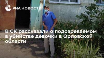 СК: подозреваемый в убийстве девятилетней девочки в Орловской области ранее не был судим - ria.ru - Россия - Орловская обл. - Брянск - район Залегощенский