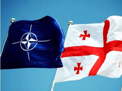 Ираклий Гарибашвили - Партнерство Североатлантического альянса с Грузией продолжает оставаться тесным и прочным – представитель НАТО - trend.az - Грузия