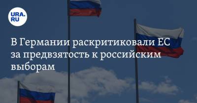 Гуннар Линдеманн - В Германии раскритиковали ЕС за предвзятость к российским выборам - ura.news - Россия - Германия - Берлин