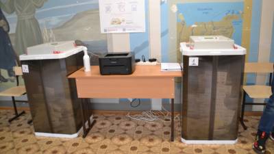 Центризбирком обработал 30% протоколов на выборах в Госдуму - inforeactor.ru - Россия