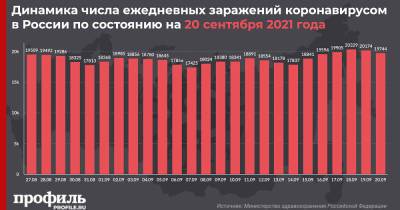 За сутки в России выявили 19744 новых случая заражения COVID-19 - profile.ru - Москва - Россия - Санкт-Петербург - Московская обл.