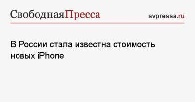 В России стала известна стоимость новых iPhone - svpressa.ru - Россия