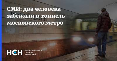 Андрей Бочкарев - СМИ: два человека забежали в тоннель московского метро - nsn.fm - Москва