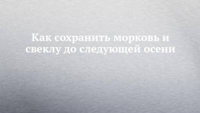 Как сохранить морковь и свеклу до следующей осени - chelny-izvest.ru