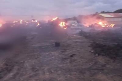 «170 голов скота осталось, кормить нечем». На ферме в Зауралье произошел крупный пожар - znak.com - Россия - Курганская обл.