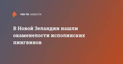 В Новой Зеландии нашли окаменелости исполинских пингвинов - ren.tv - Новая Зеландия