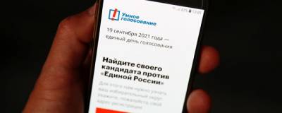 Андрей Климов - Apple и Google удалили приложение «Навальный» из магазинов AppStore и Google Play - runews24.ru - Россия