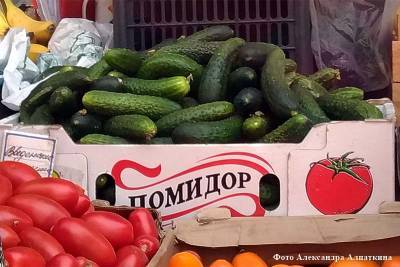 В Курганской области подешевели овощи и подорожали стройматериалы - kikonline.ru - Россия - Курганская обл.