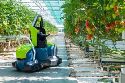 Создан робот для теплиц, который работает вместе с людьми - agroportal.ua - Украина
