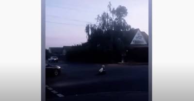 В Мелитополе женщина регулярно поздними вечерами бросается под автомобили (видео) - focus.ua - Украина - Мелитополь