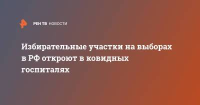 Элла Памфилова - Избирательные участки на выборах в РФ откроют в "ковидных" госпиталях - ren.tv - Россия