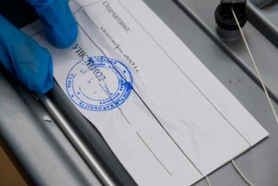 В Волгоградской области стартовали трехдневные выборы в Госдуму - volg.mk.ru - Волгоградская обл.