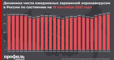 За сутки в России выявили 20329 новых случаев заражения COVID-19 - profile.ru - Москва - Россия - Санкт-Петербург - Московская обл.