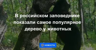 Екатерина Гура - В российском заповеднике показали самое популярное дерево у животных - news.mail.ru - Еврейская обл.