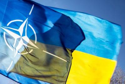Украинские военные начали совместные с НАТО учения Rapid Trident 2021 - interaffairs.ru - США - Украина - Англия - Италия - Молдавия - Грузия - Львов - Турция - Германия - Румыния - Польша - Литва - Канада - Болгария - Пакистан - Львовская обл. - Иордания