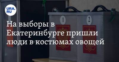 На выборы в Екатеринбурге пришли люди в костюмах овощей. Видео - ura.news - Екатеринбург - Свердловская обл.