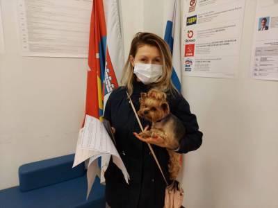 Ленинградцы и петербуржцы приходят на выборы вместе со своими питомцами — фото - ivbg.ru - Украина - Ленинградская обл. - Санкт-Петербург
