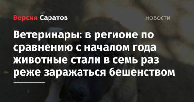 Ветеринары: в регионе по сравнению с началом года животные стали в семь раз реже заражаться бешенством - nversia.ru - Саратовская обл.